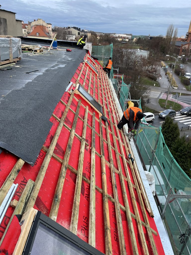 Profesjonalne pokrycia dachowe termo isolation roof